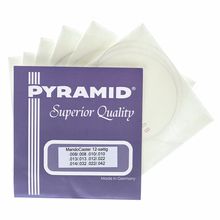 Pyramid Mandocaster 12 String Set