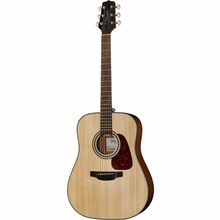 Takamine GD10-N