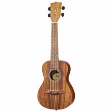 Flight Concert DUC440 Acacia 2018