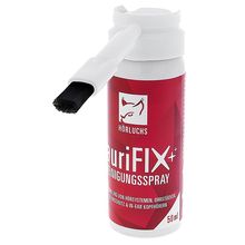 Hörluchs auri FIX