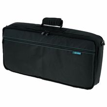 Boss GT-100 Bag