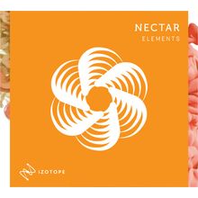 iZotope Nectar Elements EDU