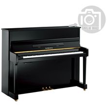 Yamaha P 116 M SH2 PE Upright Silent