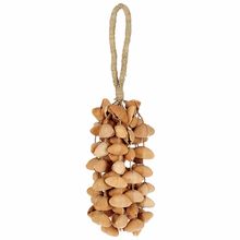 Terre Seed Shaker XXL Cha Cha Nut