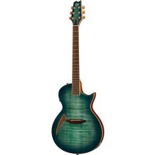 ESP LTD TL-6 Fm AQMB
