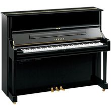 Yamaha U1 TA2 PE