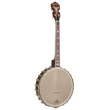 Gold Tone Irish Tenor Banjo 11"