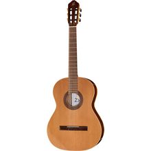 Ortega R189GSN-25TH B-Stock