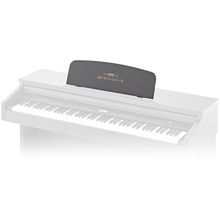 Hemingway DP-501 MKII RW Music Stand