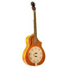 Gold Tone Dojo Banjo