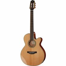 Takamine CNC-WS1