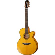 Takamine CNC-WS2