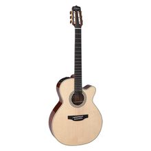 Takamine CNC-WS3