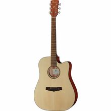Ibanez PF10CE-OPN