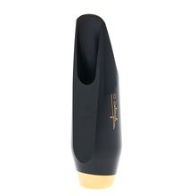 Selmer Alto Sax Claude Delangle