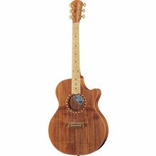 Cole Clark AN2EC-BLBL-SB Satin Box Fretb.