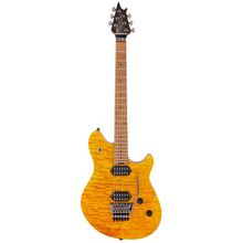 Evh Wolfgang WG Std QM TA
