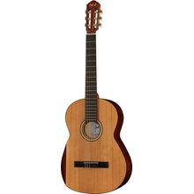 DEA Guitars Student Cedar 4/4