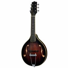 Gold Tone A-6 Tabacco Sunburst