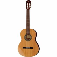 Alhambra 2C incl. Gig Bag