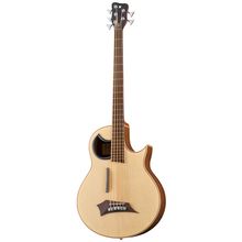 Warwick Alien 5 NT