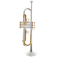 Carol Brass Mariachi CTR-5000L-GST-Bb-SRL