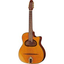 Richwood RM-140-NT Hot Club Solid D