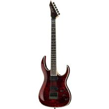 BC Rich Shredzilla Prophecy Archtop BC