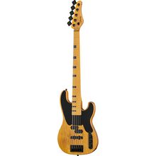 Schecter Model-T Session-5 ANS