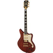 DAngelico Deluxe Bedford SH LTD Walnut