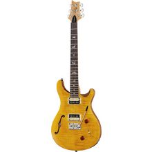 PRS SE Custom 22 Semi-Hollow SY