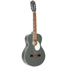 Ortega RGA-PLT Classicalguitar