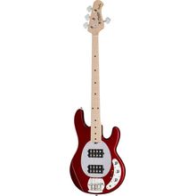 Sterling by Music Man S.U.B. Sting Ray 4 HH CAR