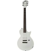 ESP LTD EC Arctic Metal SWS
