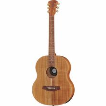 Cole Clark LL2E-BLBL