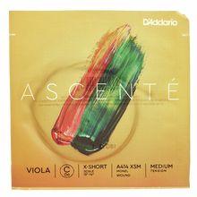 Daddario A414 XSM Ascente Viola C