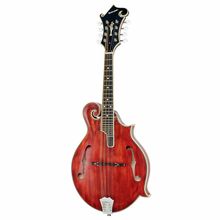 Richwood RMF-220-WN F-Style
