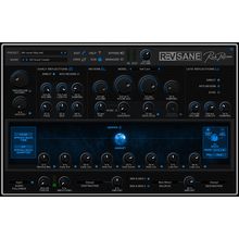 Rob Papen RevSane