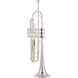 Bb-trompeter
