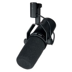 Microfoane cu Diafragm&#259; Mare
