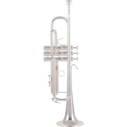 Bb-trompeter