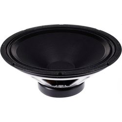 Loudspeakers for Guitar/Bass Use