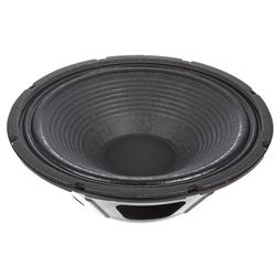 Loudspeaker 12 Inch