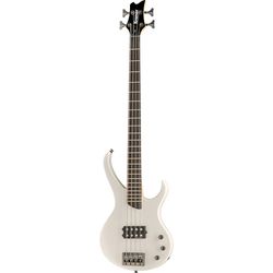 Miscellaneous 4-String Basses