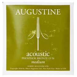 013 Acoustic Guitar Strings