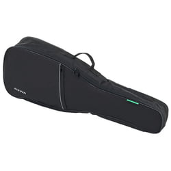 Guitar/Bass Accessories