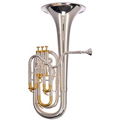 Alto-/Baritone Horns