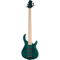 Miscellaneous 5-String Basses