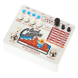 Delay/Echo Pedals