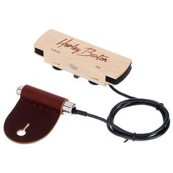 Magnetic Pickups for Acoustic Guitars